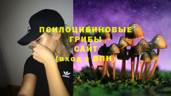 прущая мука Аркадак